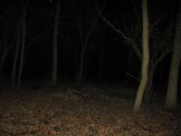 Chicago Ghost Hunters Group investigates Robinson Woods (129).JPG